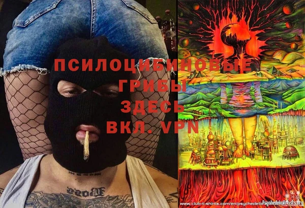 PSILOCYBIN Алзамай