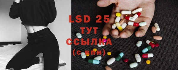 PSILOCYBIN Алзамай