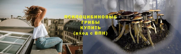 PSILOCYBIN Алзамай
