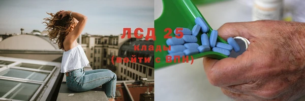стаф Алексин