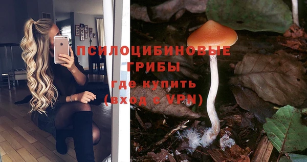 кокаин Алексеевка