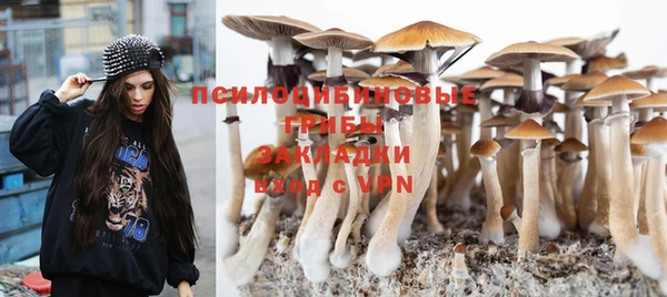кокаин Алексеевка