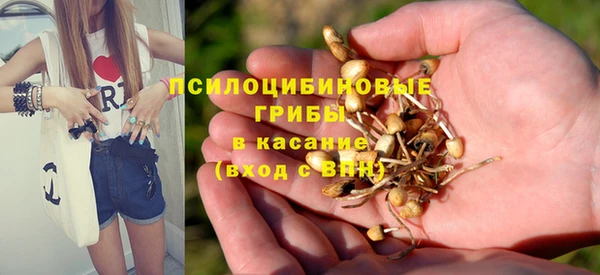 PSILOCYBIN Алзамай