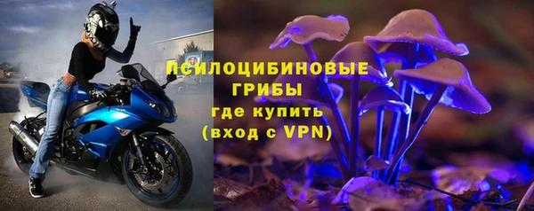 стаф Алексин