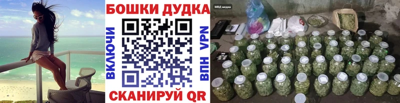 кракен сайт Тара Шишки марихуана семена